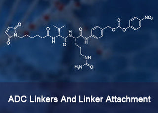 ADC Linkers