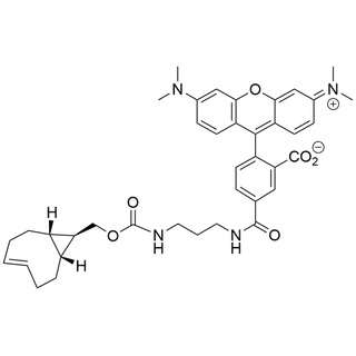 TAMRA-DAP-s-TCO