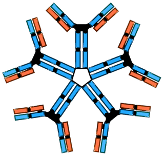 Antibodies (Part 1. Basic Information)