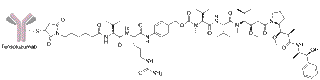 Antibody–Drug Conjugates Approved by FDA Through 2025