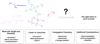 How to Choose the Right PEG Linker for Your Research and Applications