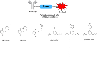 Key Factors in ADC Linker Chemistry: Enhancing Drug Efficacy