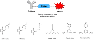 Key Factors in ADC Linker Chemistry: Enhancing Drug Efficacy