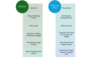 The Rise of Molecular Glues in Targeted Protein Degradation: From Concept to Clinic