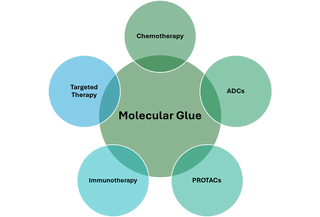 Unlocking the Future of Molecular Glues: Strategies for Discovery, Optimization and Beyond