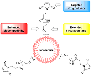 Introduction to Polyethylene Glycol Maleimide (PEG-MAL)
