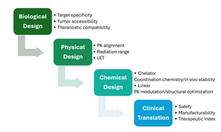 Radionuclide Drug Conjugates (Part 3. Design Principles)
