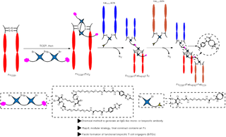 Dibromopyridazinedione (DiBrPD) - A New Generation of Thiol-Bridging Site-Specific Conjugation Reagents