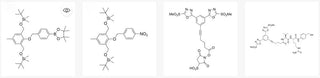 Key Factors in ADC Linker Chemistry: Enhancing Drug Efficacy