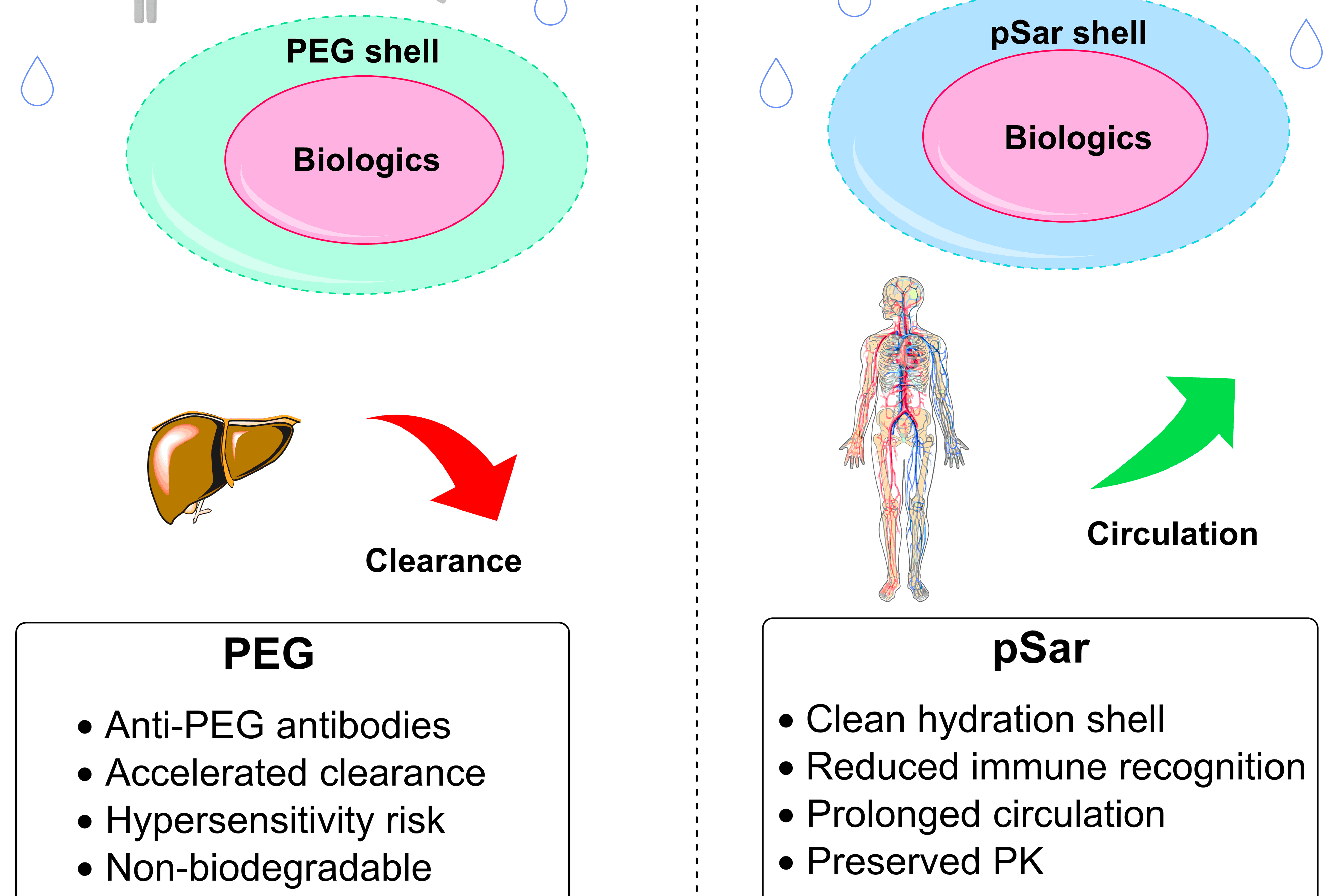 Precise Post: Advancing Innovation, Research, and News at Precise PEG ...