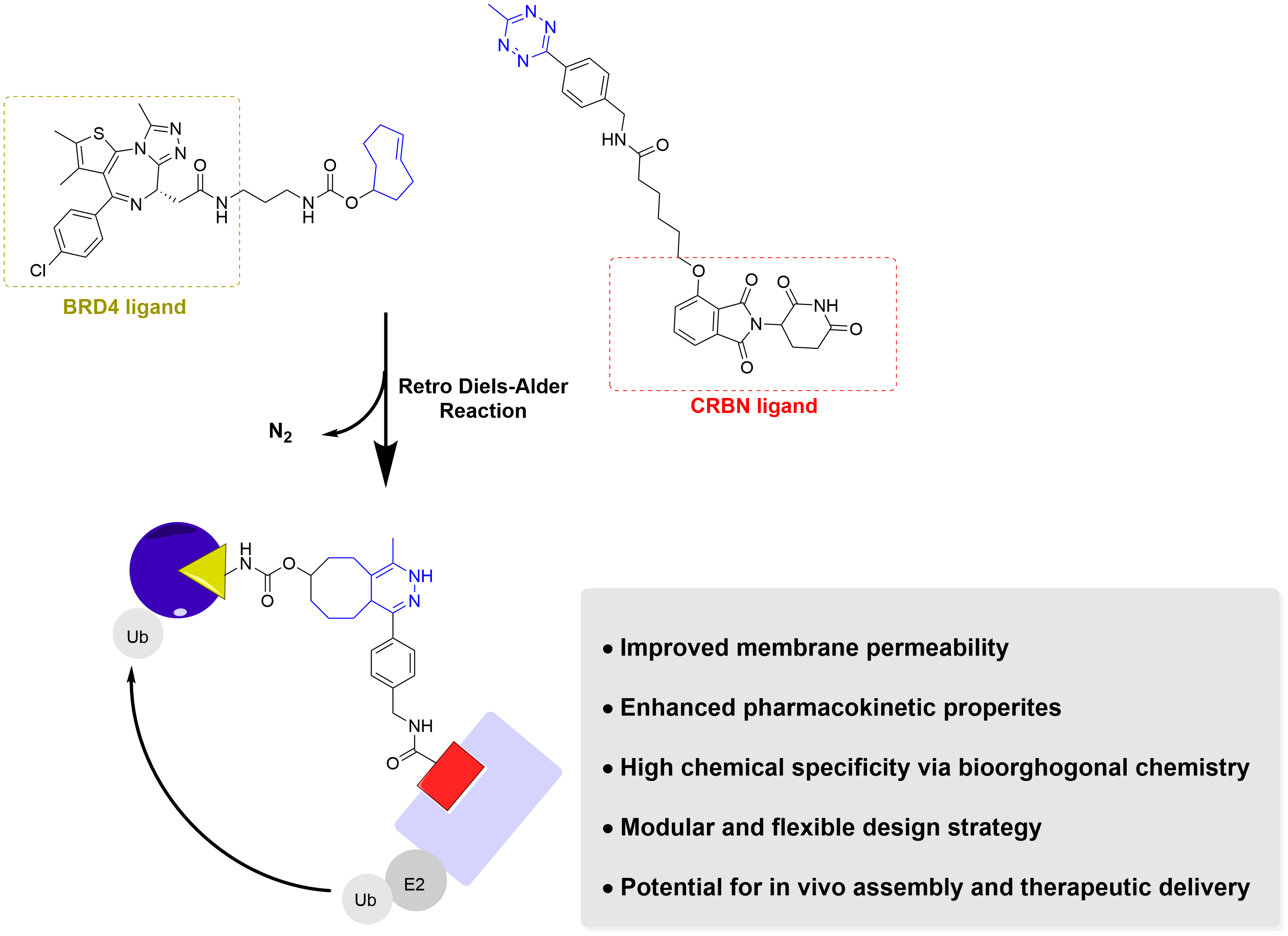 PROTAC 2.0: Next-Generation Designs for Targeted Protein Degradation ...