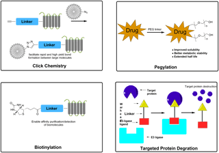 What is Linker Chemistry? A Beginner’s Guide to the Fundamentals