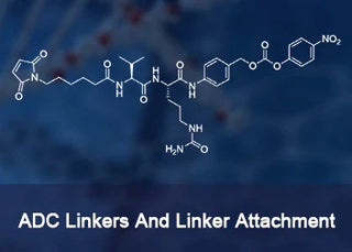 ADC Linkers and Linker Attachment