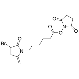 3Br-5MP-Hexanonate NHS
