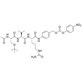 Ac-Ser(t-Bu)-Val-Cit-PAB-PNP