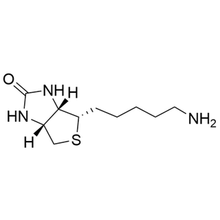 Biotin-C5-amine