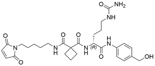 Mal-Amide-cBu-D-Cit-PAB