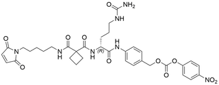 Mal-Amide-cBu-D-Cit-PAB-PNP