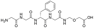 Gly-Gly-D-Phe-N-[(carboxymethoxy)methyl]Glycinamide