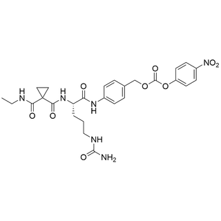 Et-amide-cPr-Cit-PNP-PAB