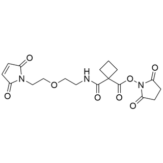 Mal-PEG1-amido-cBu-NHS ester