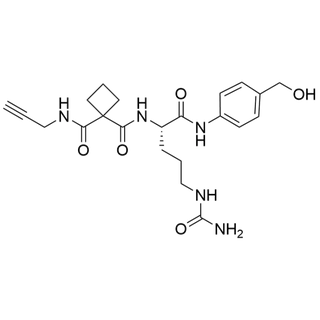 Propargyl-amido-cBu-Cit-PAB-OH