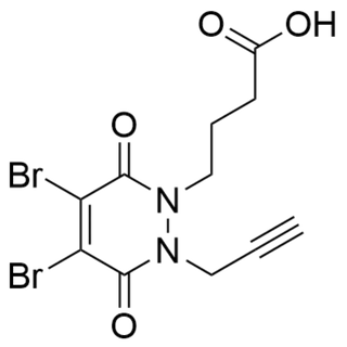 4-(4,5-dibromo-3,6-dioxo-2-(prop-2-yn-1-yl)-3,6-dihydropyridazin-1(2H)-yl)butanoic acid
