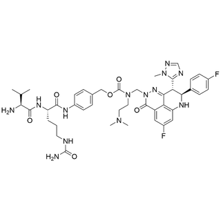 Val-Cit-PAB-(N-DMAE-N-CH2)-Carbamate-Talazoparib