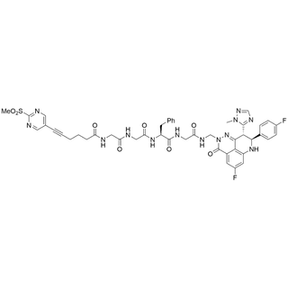 SP-Gly-Gly-Phe-Gly-NH-CH2-Talazoparib