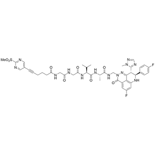 SP-Gly-Gly-Val-Ala-NH-CH2-Talazoparib