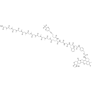 SP-Glu(pSar10-NH2)-Gly-Gly-Phe-Gly-PAB-carbamate-Exatecan