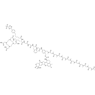 SO-C6-Lys(DOTA)-Gly-Gly-Phe-Gly-PAB-(2-CH2NHMe-pSar10-Ac)-carbamate-Exatecan