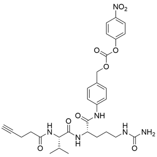 4-Pentynoyl-Val-Cit-PAB-PNP