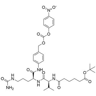 tBuO-AA-Val-Cit-PAB-PNP