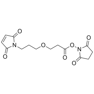 Mal-PPD1-NHS Ester