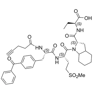 Pent-4-ynamide-Bpa-MET(O2)-Oic-Abu-OH