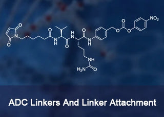 ADC Linkers and Linker Attachment