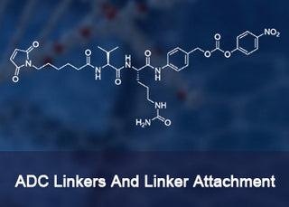 ADC Linkers and Linker Attachment