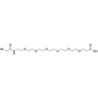 Bromoacetamido-PEG6-acid