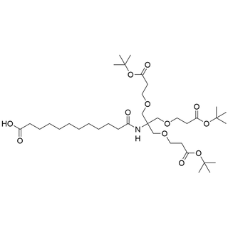 12-carboxy-dodecanoic amido-Tri-(t-butoxycarbonylethoxymethyl)-methane