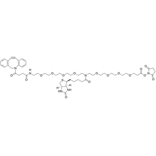 N-(DBCO-PEG4)-N-Biotin-PEG4-NHS