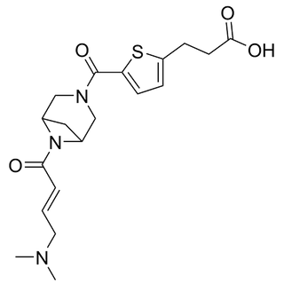 (E)-3-(5-(6-(4-(dimethylamino)but-2-enoyl)-3,6-diazabicyclo[3.1.1]heptane-3-carbonyl)thiophen-2-yl)propanoic acid
