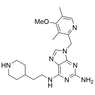 9-((4-methoxy-3,5-dimethylpyridin-2-yl)methyl)-N6-(2-(piperidin-4-yl)ethyl)-9H-purine-2,6-diamine