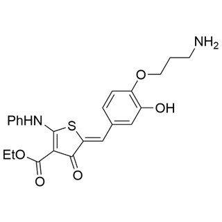 ethyl (Z)-5-(4-(3-aminopropoxy)-3-hydroxybenzylidene)-4-oxo-2-(phenylamino)-4,5-dihydrothiophene-3-carboxylate