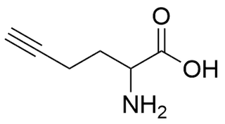 Homopropargylglycine