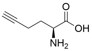 L-Homopropargylglycine