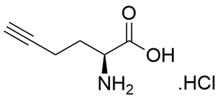 L-Homopropargylglycine hydrochloride