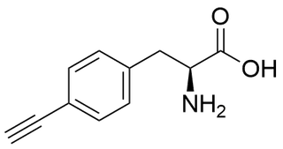 p-Ethynylphenylalanine