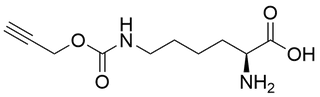 N-ε-propargyloxycarbonyl-L-lysine