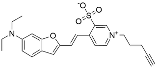 Alkyne MegaStokes dye 735